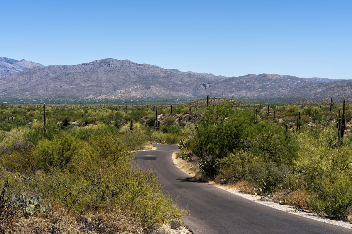 Saguaro National Park East