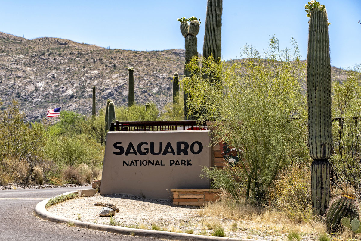 Close to Saguaro National Park East