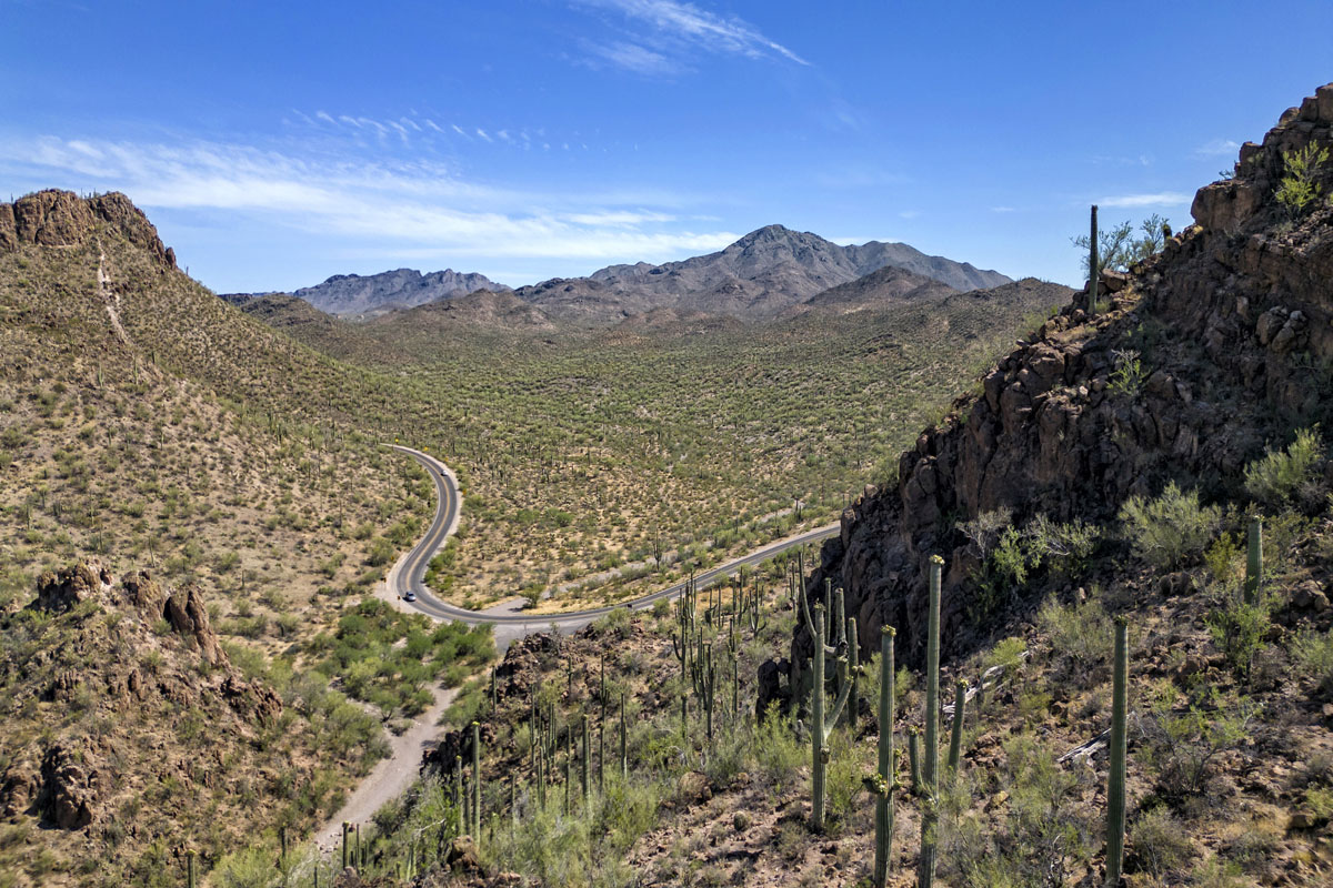 Saguaro National Park