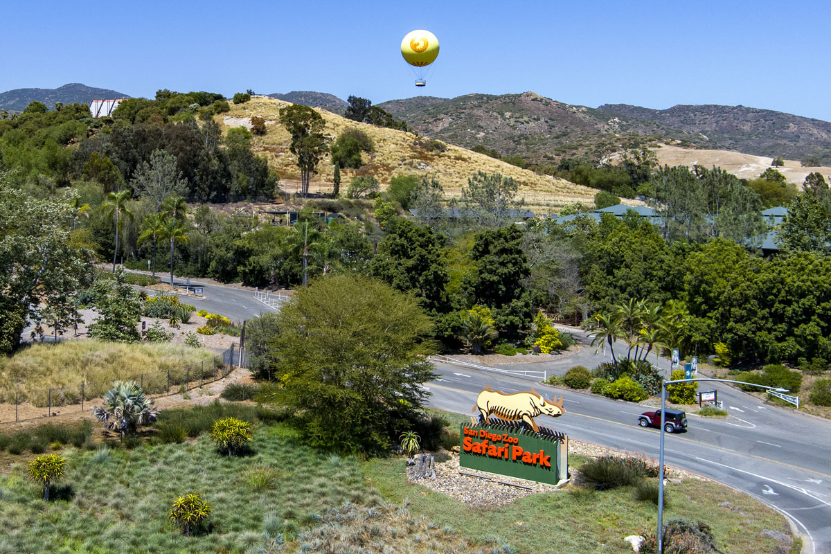 Minutes to San Diego Zoo Safari Park