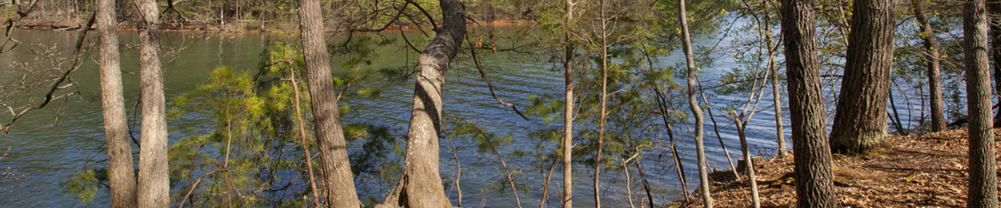 Huntersville